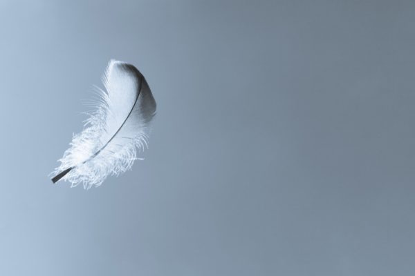 feather floating