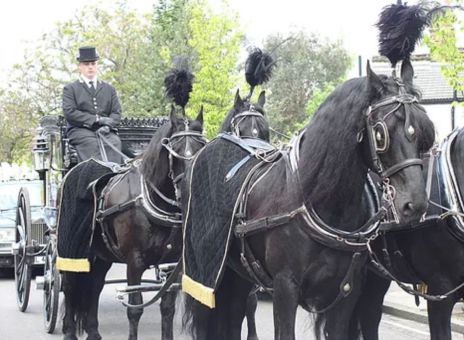 Funeral horse drawn carriage