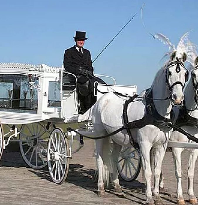 man on white horse drawn carriage