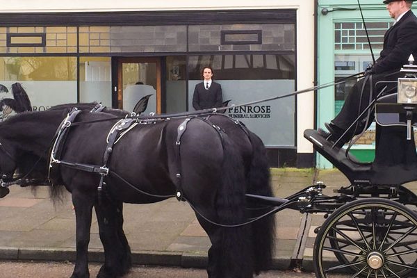 man on a horse drawn carriage