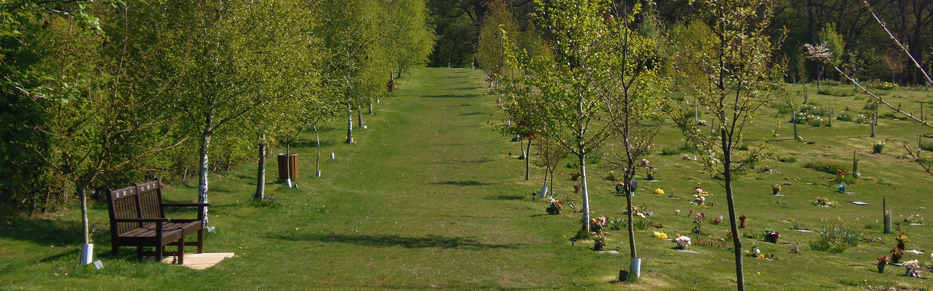 a view of a cemetery with trees