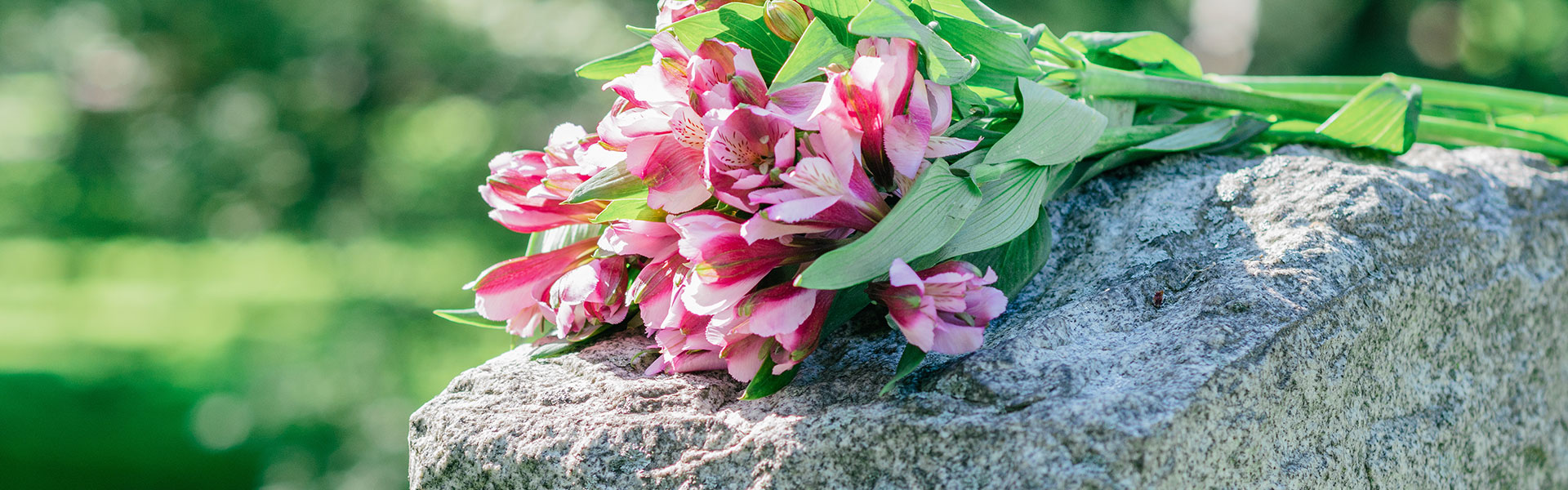 pink flowers on top of a grave marker