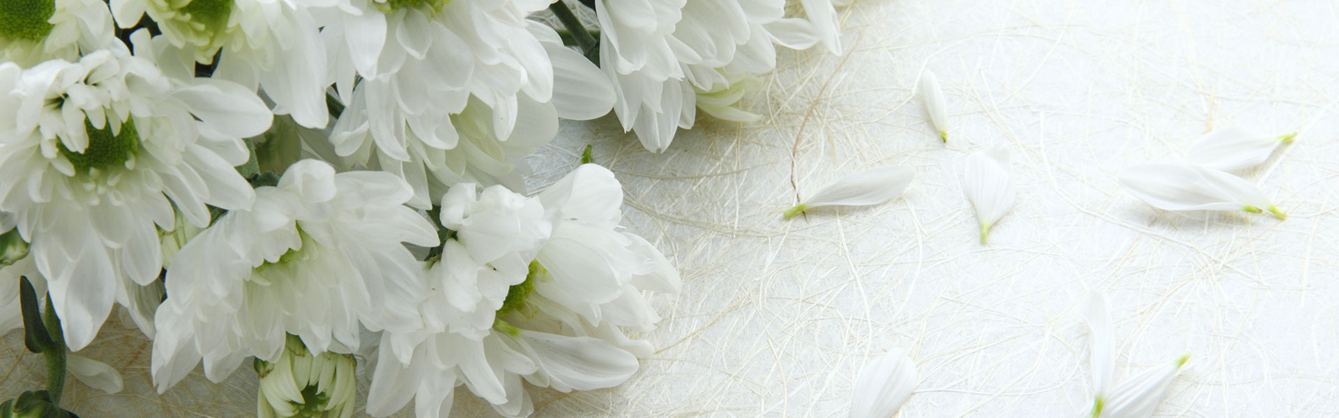 white flowers on table