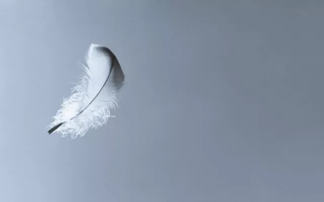 feather floating